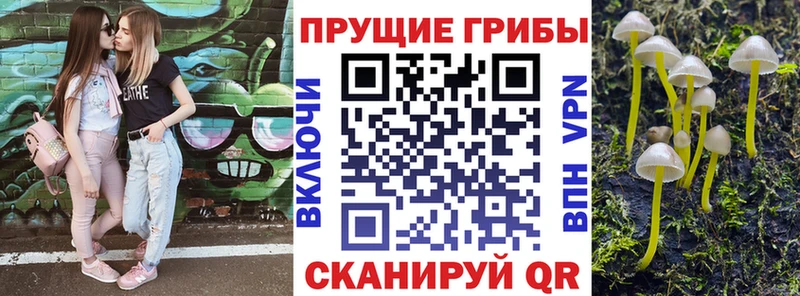 Псилоцибиновые грибы GOLDEN TEACHER  Спасск-Рязанский 